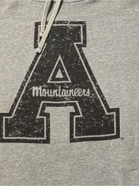 Appalachian Mountaineers Graphic Hoodie - Gray with Black Logo